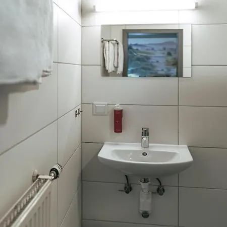 Boutique Zum Gruenen Baum Hotel *